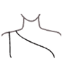 V Neck