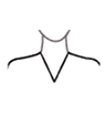 V Neck